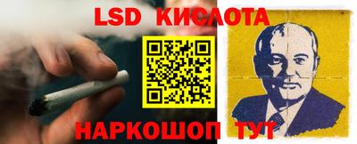 трава Гатчина