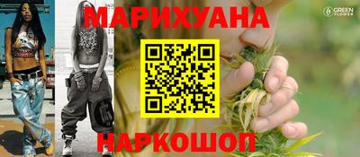трава Гатчина