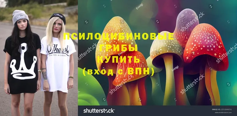 shop формула  Малгобек  Галлюциногенные грибы ЛСД  OMG tor 