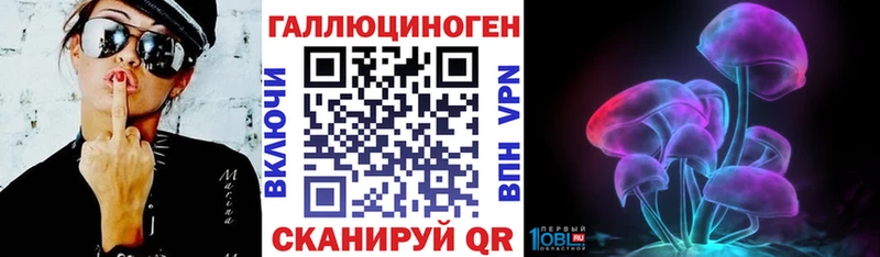 площадка состав  Малгобек  Псилоцибиновые грибы MAGIC MUSHROOMS 